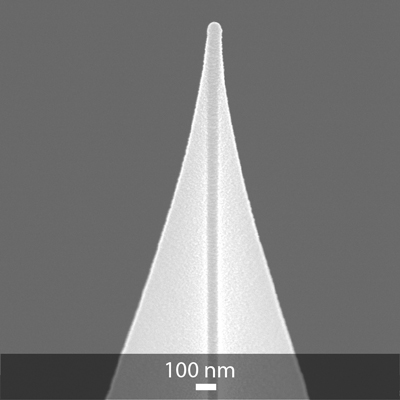 SEM image of OPUS magnetic cobalt-alloy coated AFM tip