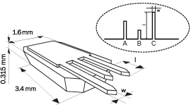 Schematic of 3 tipless cantilevers on NSC series chip
