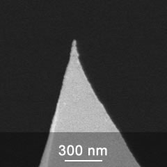 SEM image of DPER AFM probe tip close-up