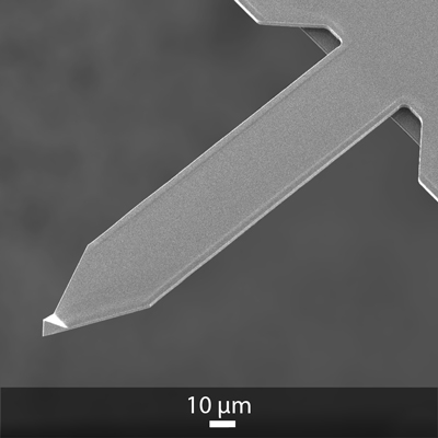 SEM image of OPUS 3XC AFM probe middle AFM cantilever and AFM tip