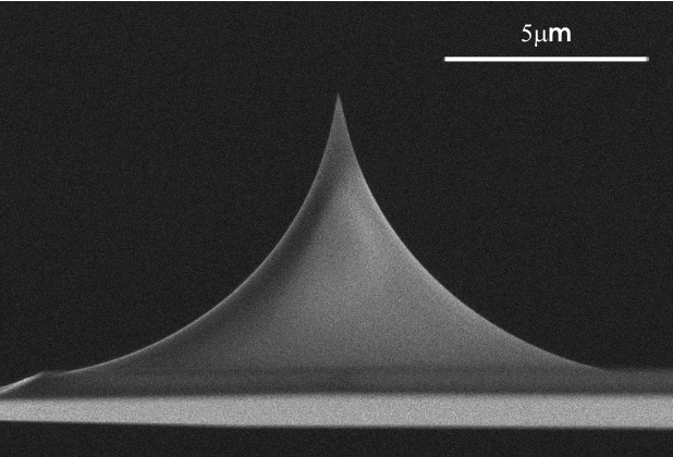 Side view SEM image of uniqprobe AFM tip