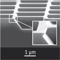 SEM image of TGX calibration standard with undercut structures