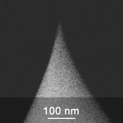 SEM image of MikroMasch general purpose AFM probe tip close-up