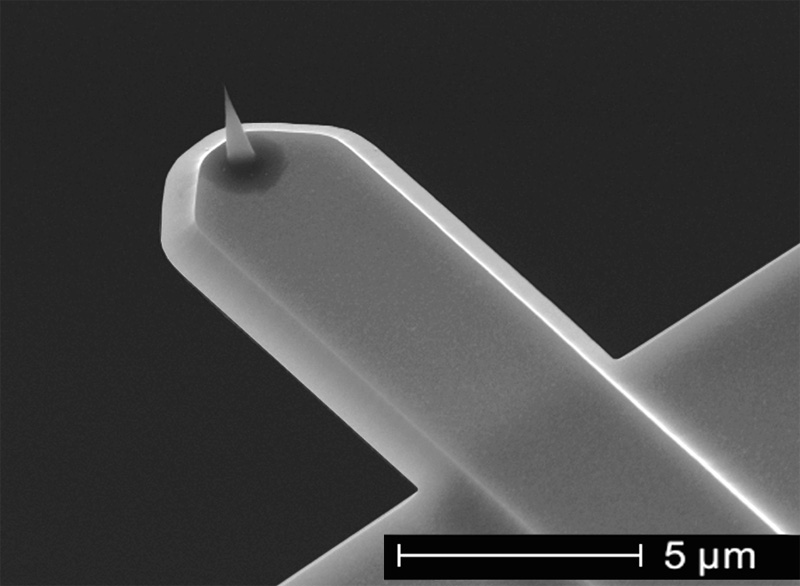 Close-up 3D view SEM image of Ultrashort (USC) AFM cantilever