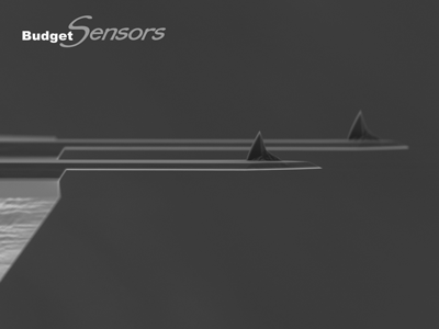 Side view SEM image of All-In-One (AIO) AFM cantilevers C&D