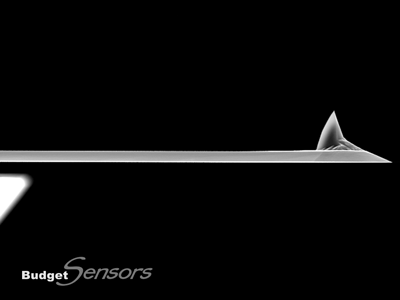 Side view SEM image of AFM cantilever l