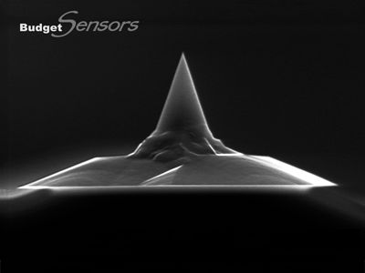 Front view SEM image of uncoated AFM tip