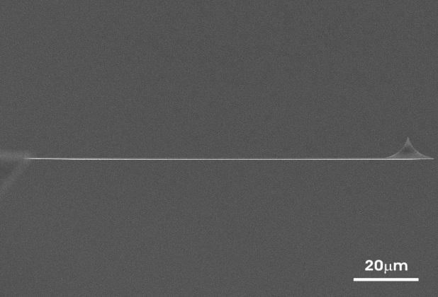 Side view SEM image of 350nm thin uniqprobe AFM cantilever and AFM tip
