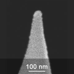 SEM image of DPE series AFM probe tip close-up