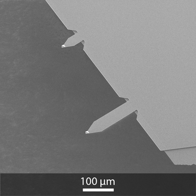 SEM image of OPUS 4XC AFM probe, side with short AFM cantilevers