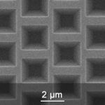 SEM Image of the TGX Surface Structures