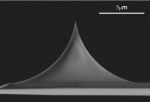 Side view SEM image of uniqprobe AFM tip