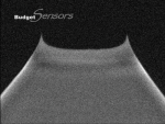 SEM image of SiNi wedge (double) AFM tip