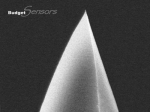 Side view SEM image of gold Au coated AFM tip