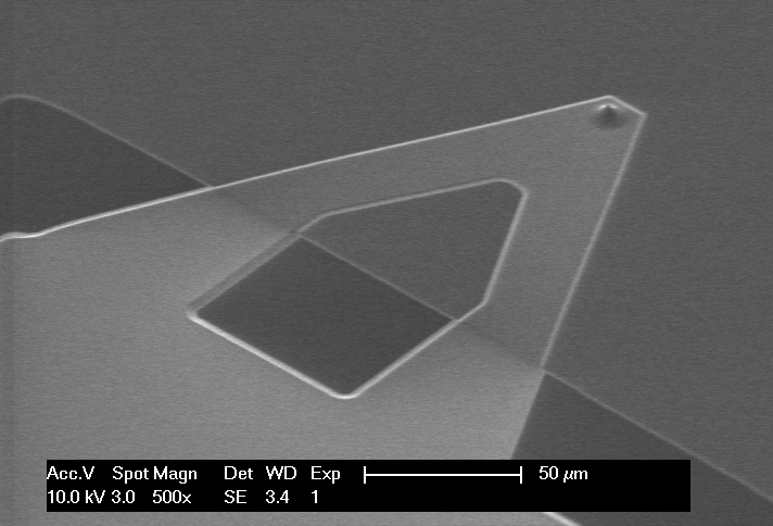 SEM image of qp-HBC AFM cantilever and AFM tip