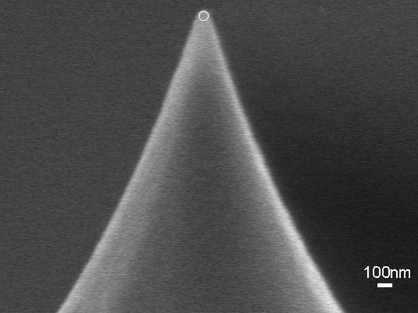 Close-up SEM image of qp-BioAC-CI AFM tip
