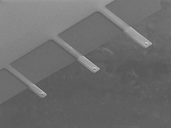 3D view SEM image of the qp-fast uniqprobe AFM cantilevers and AFM tips