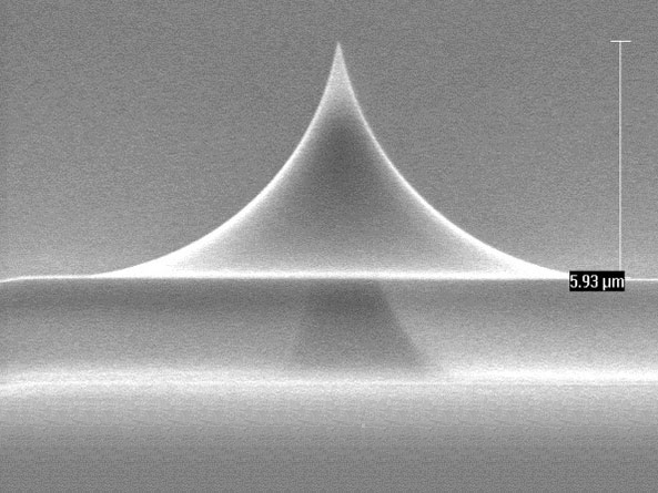 Front view SEM image of qp-fast AFM tip