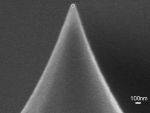 Close-up SEM image of qp-BioAC-CI AFM tip