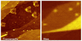 Kelvin Probe Measurement on graphene exfoliated on strontium titanate (SrTiO3) obtained in non-contact AFM mode using a frequency shift of -5 Hz. The graphene was irradiated with xenon 23+ ions under grazing incidence of 6&deg;. On monolayer the impact of the ions lead to characteristic folding. In Bias-Image the exposed underlying substrate in this area can be clearly seen. Also, the monolayer shows lower surface potential difference to SrTiO3 than few monolayers.