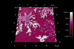 Dendritic growth of HDI polymer