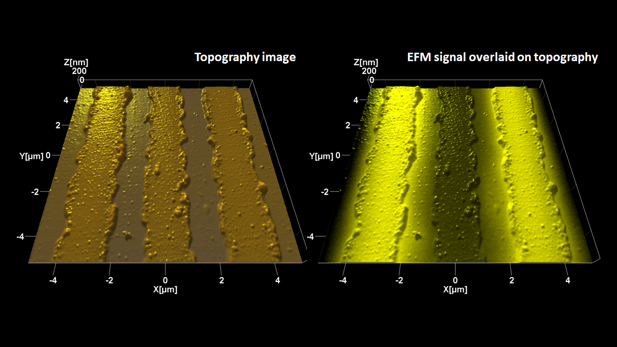 Electrostatic force microscopy of biased metal lines