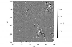 An amplitude image of DNA plasmids