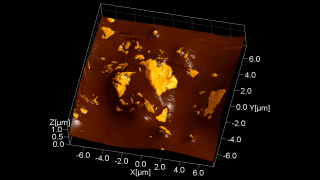 A definite favorite of AFM researchers worldwide (or at least of the one who produced this image), Lindt’s 99% cocoa Excellence bar has very intense cocoa taste. The topography image of a bar’s back surface is rendered in 3D and overlaid with the phase image. The false-color yellowish spots are regions of growing cocoa butter crystals.