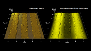 Tapping mode topography (left) and electrostatic force microscopy overlaid on topography (right) images of metal lines on an insulating substrate. EFM helps distinguish the two lines biased at 3V from the grounded one in the middle.