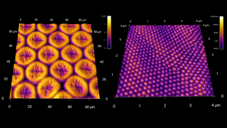 Large scale structure of a desiccated compound butterfly eye (left) and fine nanostructure completely covering the facets (right)