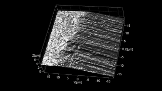 Topography of the transition area between the shiny polished side of the blade and its sharpened cutting edge.