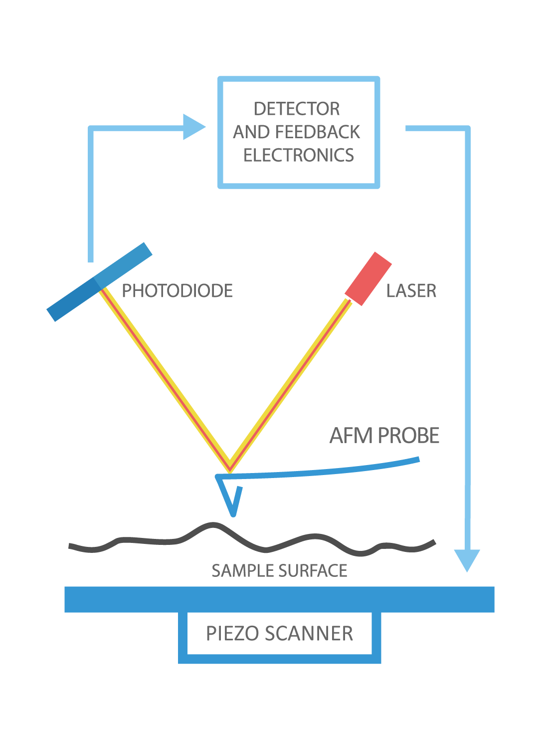 Fig. 1. AFM Schematic.