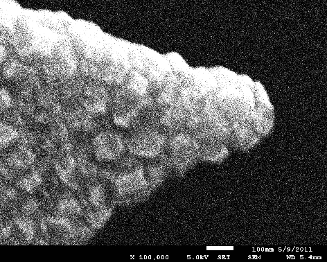 Conductive diamond coated AFM tips