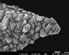 Diamond nano-crystallites are covering the very end of the silicon tip apex.