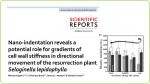 blogSM_20210228_biotool_biosphere_nanotools.jpg blogSM_20210228_biotool_biosphere_nanotools.jpg