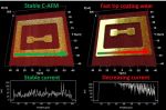 ElectriCont-G Probes are suitable for Conductive AFM