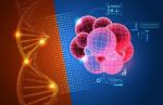 NEC uses NANOSENSORS Membrane Surface Stress Sensors (MSS) NEC uses NANOSENSORS Membrane Surface Stress Sensors (MSS)