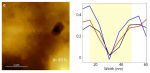 AFM nanolithography and topography measurements