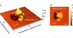 Peak Force Infrared Microscopy (PFIR) Peak Force Infrared Microscopy (PFIR)