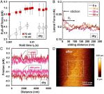 The effects of roughness in dry and aqueous environment on the velocity dependence of friction in calcite crystals.