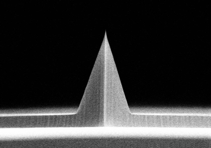 SEM image of OLYMPUS OMCL-AC240TM AFM tip