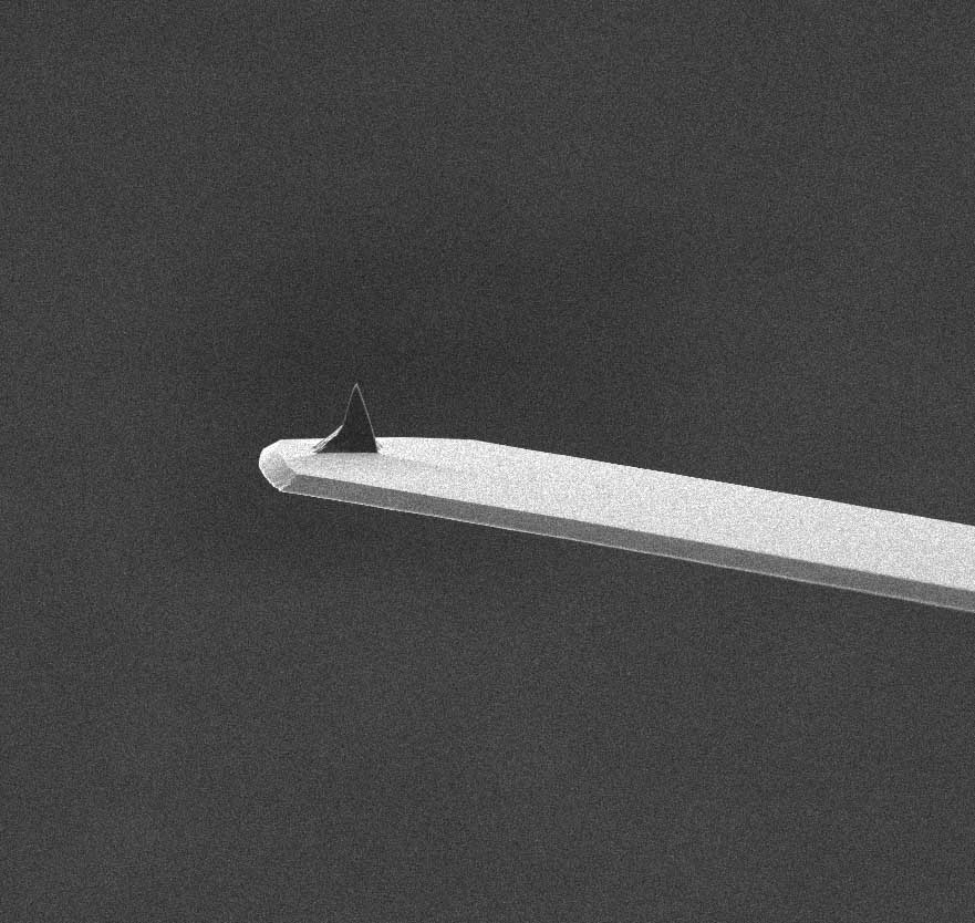 AFM cantilever of MikroMasch contact mode AFM probe