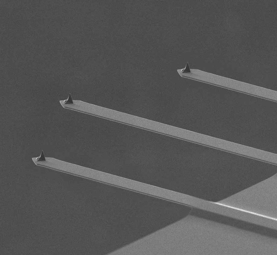 AFM probe with 3 different contact mode AFM cantilevers by MikroMasch