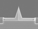 SEM image of Olympus OMCL-AC55 AFM tip