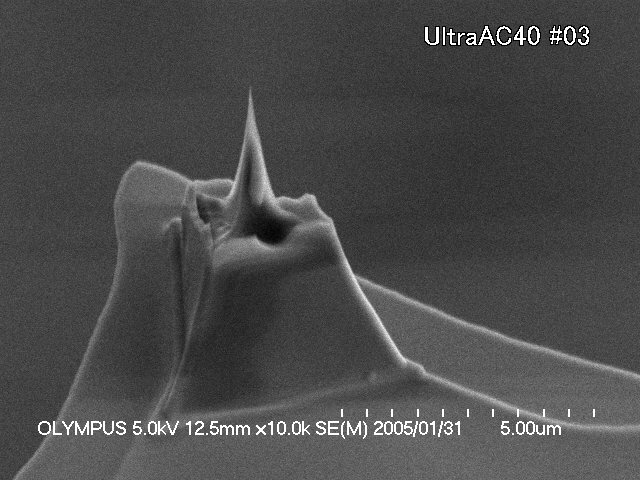 Enlarged SEM image of OLYMPUS BL-AC40TS AFM tip