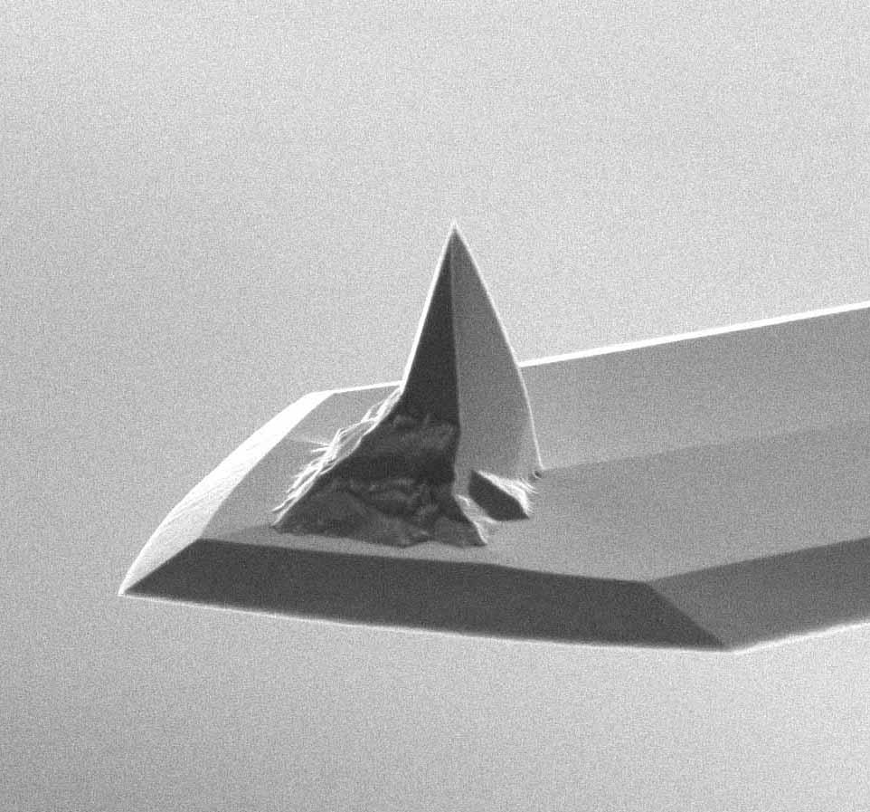 AFM tip of MikroMasch AFM probe with 3 different soft tapping mode AFM cantilevers