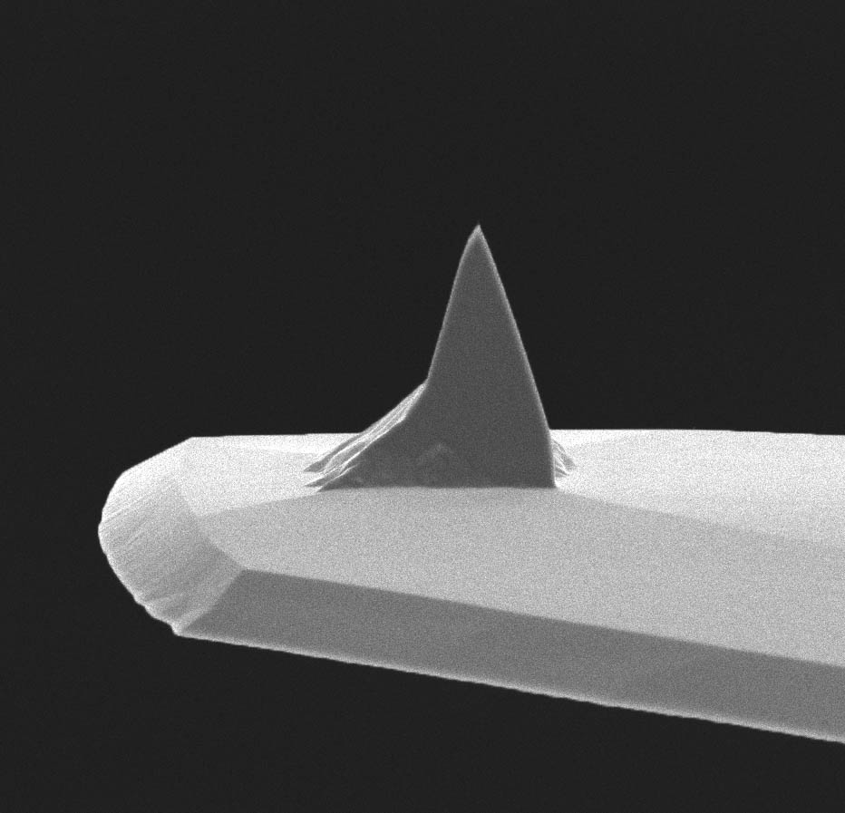 AFM tip of MikroMasch contact mode AFM probe