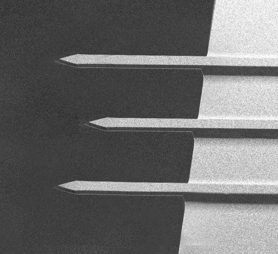 AFM probe with 3 different soft tapping mode tipless AFM cantilevers by MikroMasch