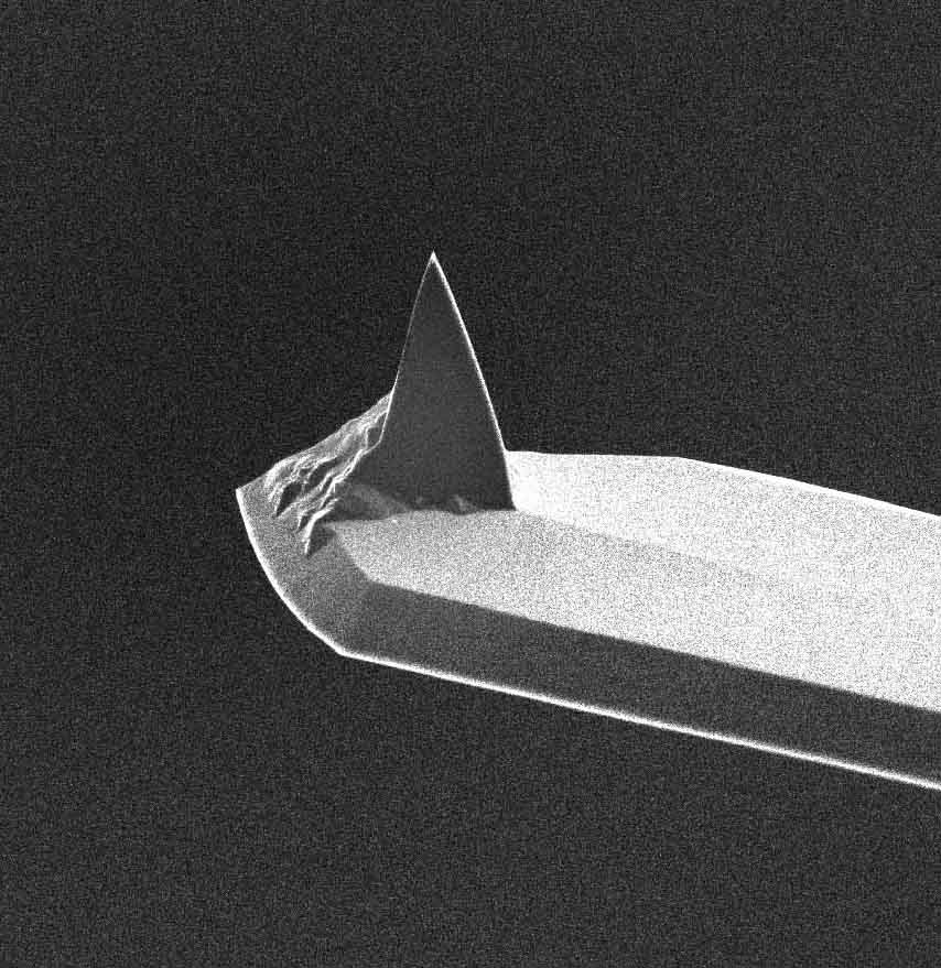 AFM tip of MikroMasch contact mode AFM probe