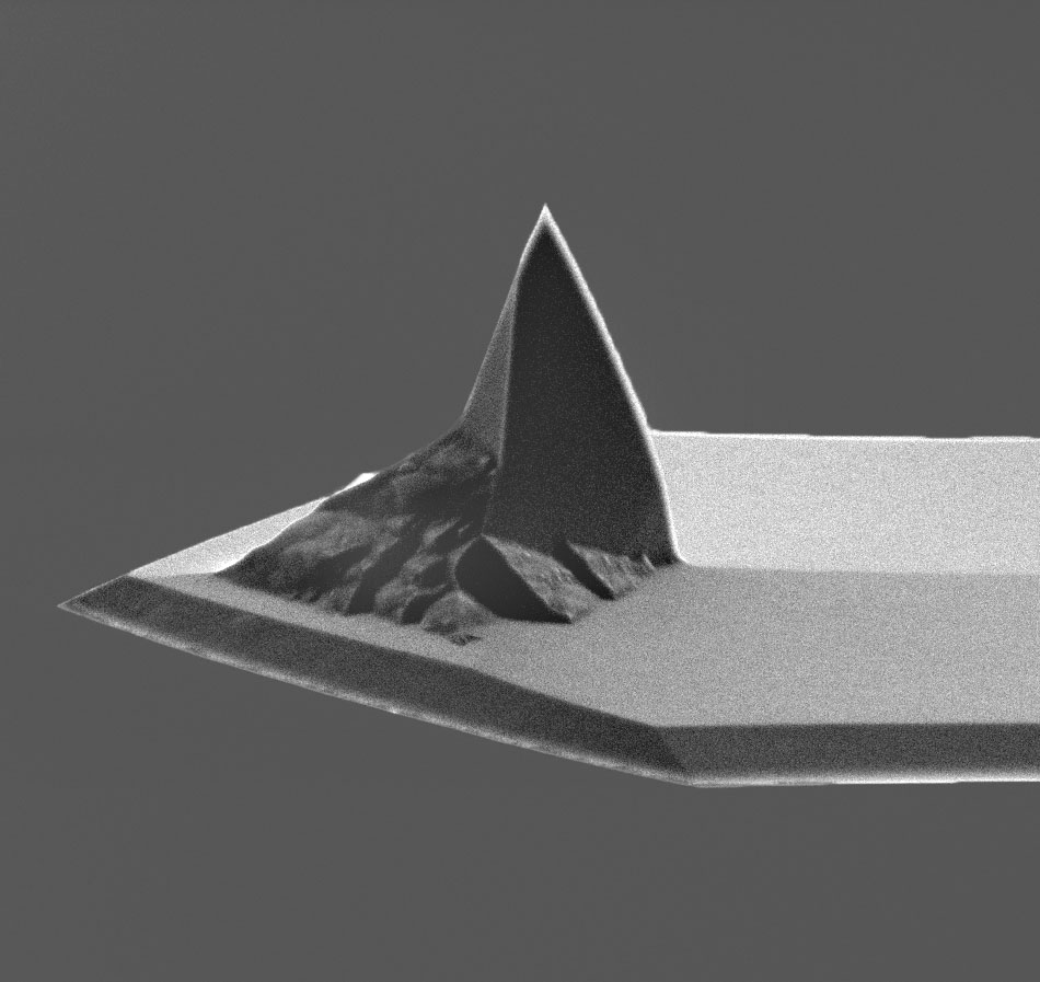 AFM tip of MikroMasch AFM probe with 3 different soft tapping mode AFM cantilevers